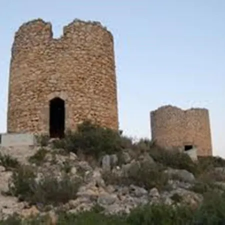Buganvilla
