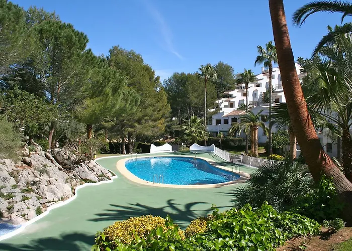 Buganvilla