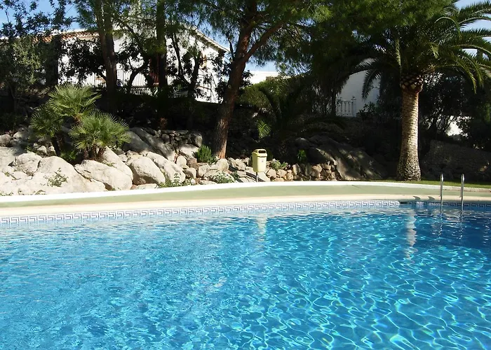 Buganvilla *