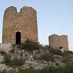 Buganvilla
