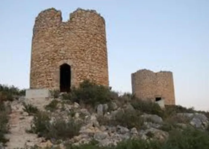 Buganvilla